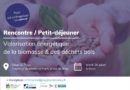 Valorisation énergétique de la biomasse et des déchets bois