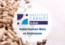 Rencontre entreprise – Carnot Icéel – Valorisation Bois et biomasse