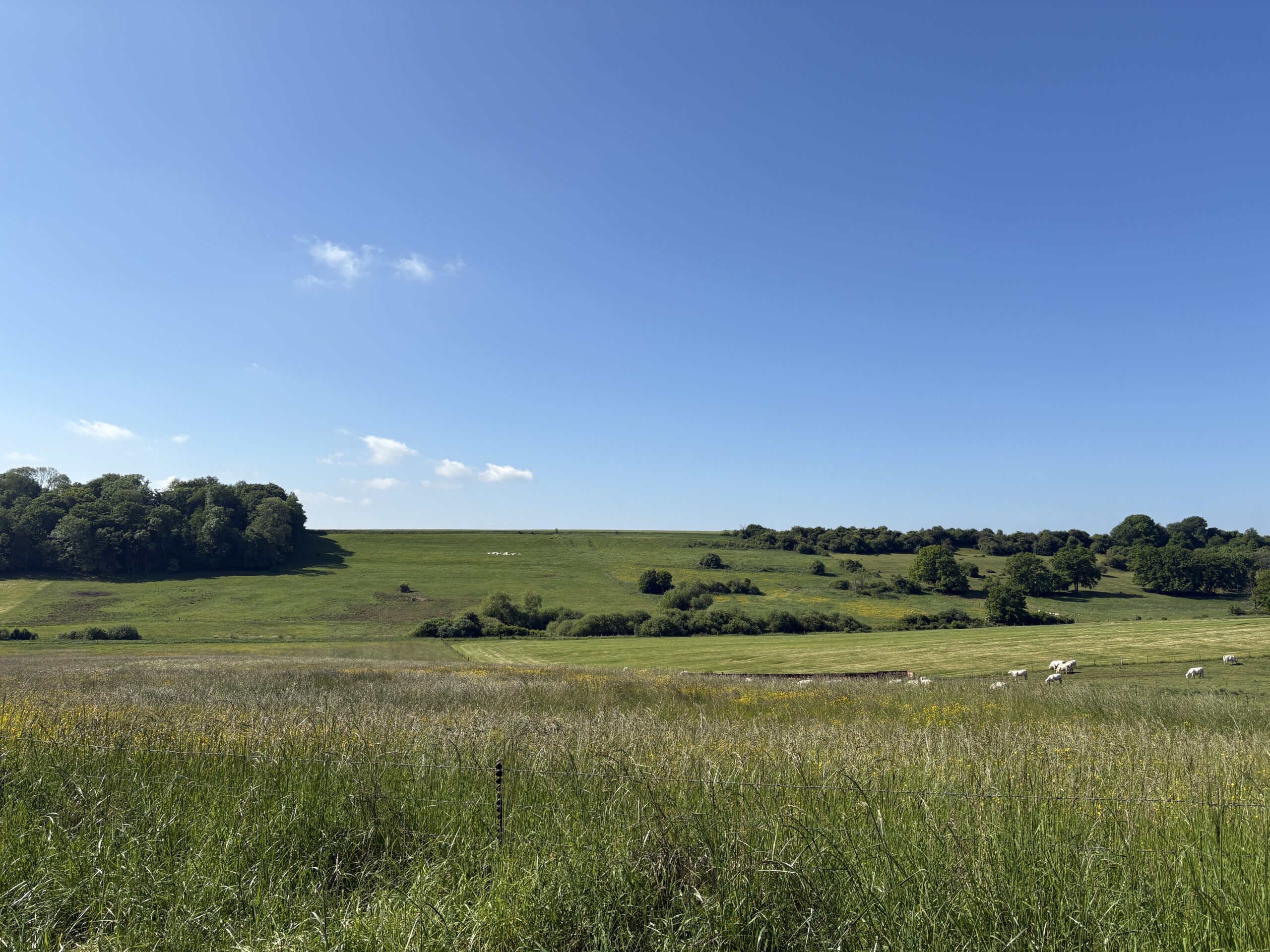 Base loisirs solan (81) 사진